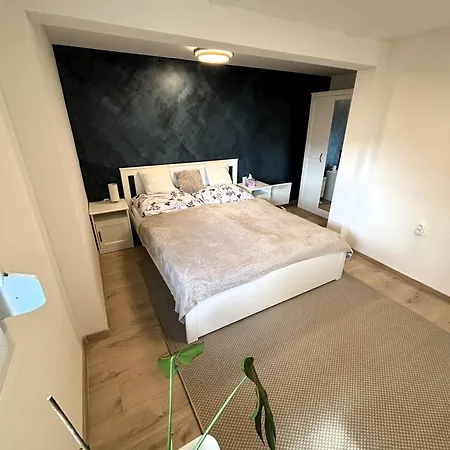 Aranyos Haziko 나기마로스